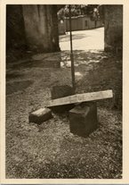 fotografia/CECCARIUS010/267