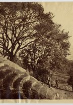 fotografia/CECCARIUS011/045