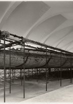 fotografia/CECCARIUS014/005