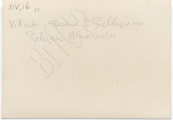 Viterbo. Piazza S. Pellegrino