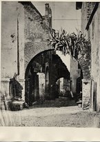 fotografia/CECCARIUS014/057