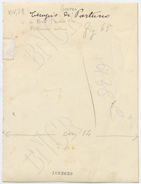 Porto (via Portuense) Tempio di Portuno