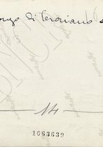 fotografia/CECCARIUS014/088