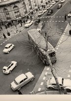 fotografia/CECCARIUS015/005