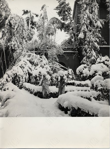 Roma sotto la neve