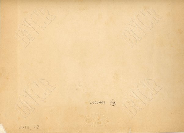 Firenze. Nozze di Umberto e Margherita