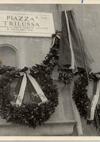 fotografia/CECCARIUS018/094