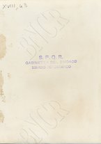 fotografia/CECCARIUS018/097