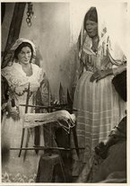 fotografia/CECCARIUS019/057