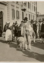 fotografia/CECCARIUS019/287