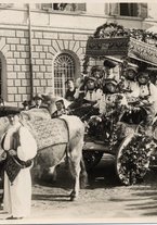 fotografia/CECCARIUS019/329