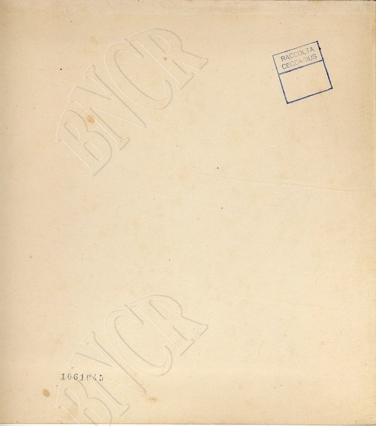 Ambiente addobbato a festa