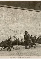 fotografia/CECCARIUS019/381