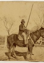 fotografia/CECCARIUS019/385