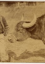 fotografia/CECCARIUS019/387