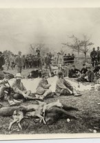 fotografia/CECCARIUS019/389