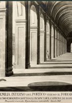 fotografia/CECCARIUS021/024