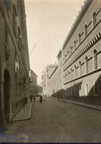 fotografia/CECCARIUS021/061