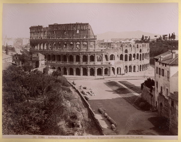 Roma. Colosseo