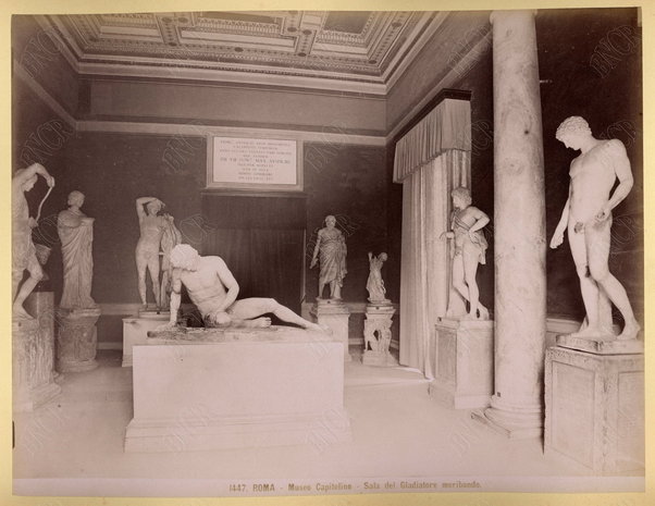 Roma. Museo Capitolino. Sala del gladiatore moribondo