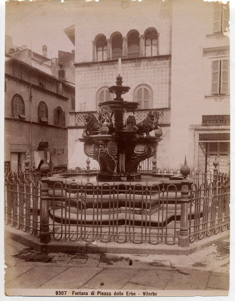 Viterbo. Fontana di Piazza delle Erbe