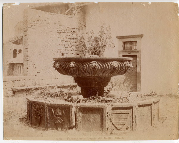 Viterbo. Fontana nella Loggia dei Gatti