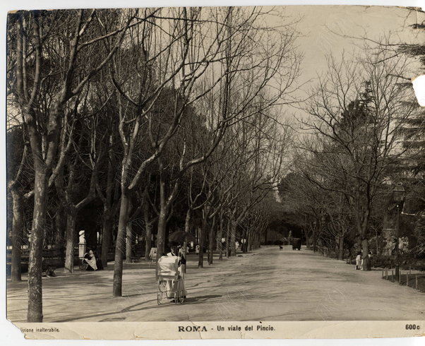 Roma. Viale del Pincio