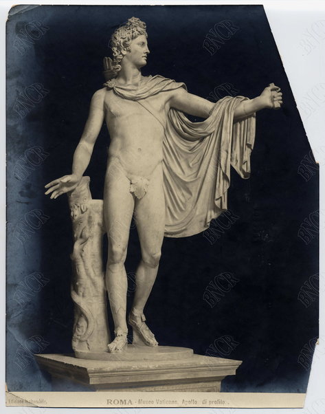 Roma. Museo Vaticano. Apollo di profilo