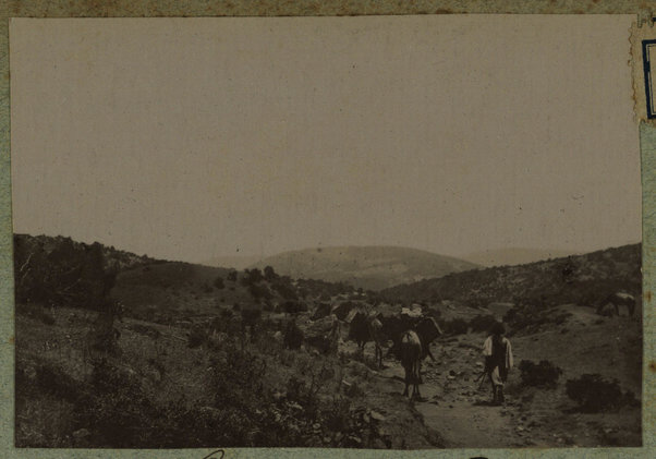 Carovana della Croce Rossa in viaggio. Gildessa [Harar] dopo Bio Caboba