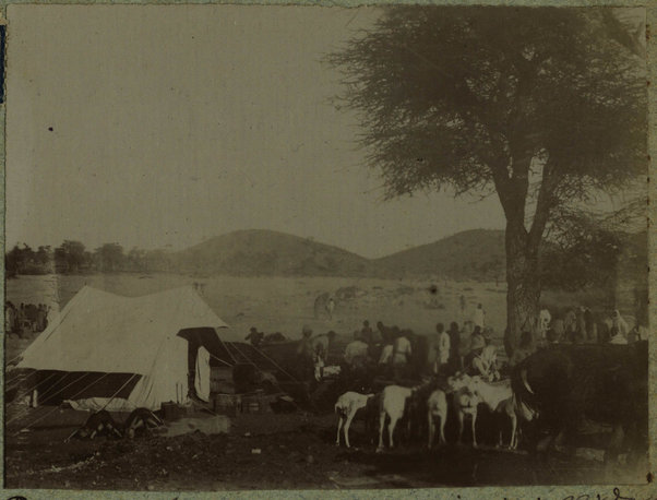 Provviste al campo per i prigionieri. Gildessa