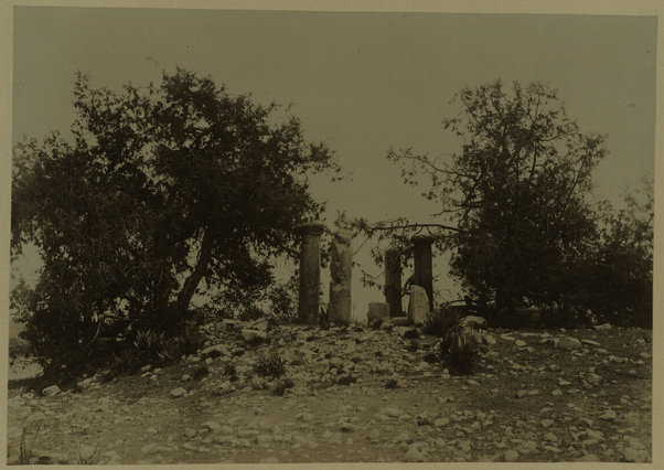 [Rovine sul Colzaito, presso Adi Caieh]