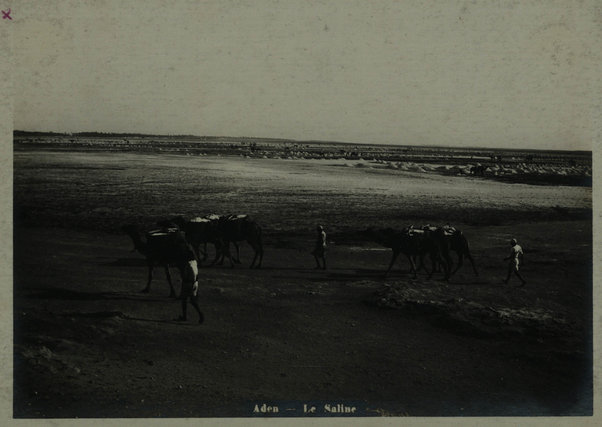 Aden - Le Saline