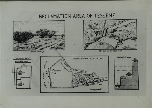 Tessenei. [fotoriproduzione grafico "Reclamation area of Tessenei"]