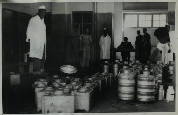 Asmara. Centrale del latte: caseificio (The Milk Plant: cheese factory)