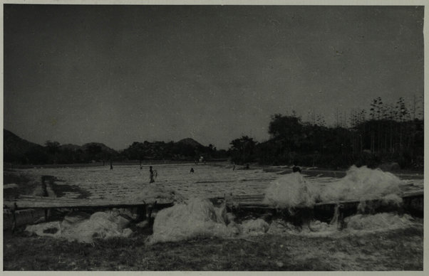 Elaberet. Produzione di cordame di sisal (Production of sisal-grass-henequen -  cordage)