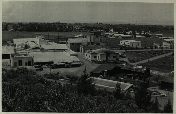 Asmara. Birreria e distilleria [Ditta Melotti] (A brewery and distillery)