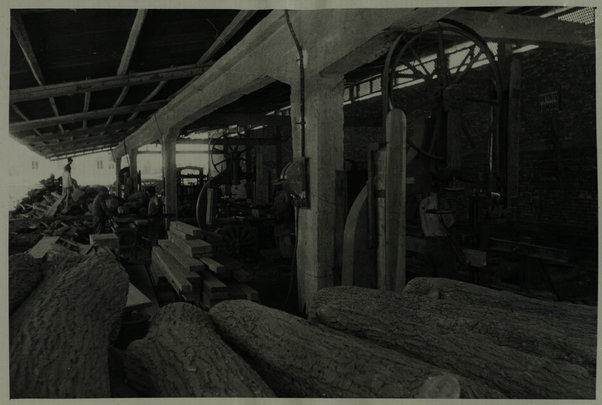 Lavorazione di legname nel bassopiano (Tree cutting and saw mills in the lowlands)