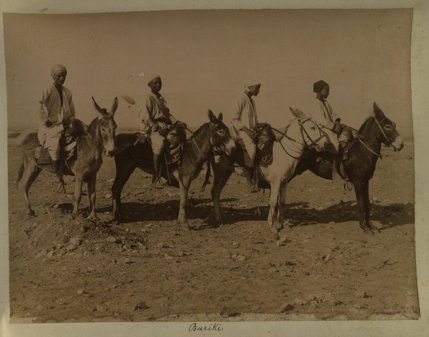 Buriki [4 indigeni in groppa a dei muli]