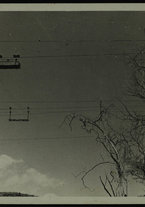 fotografia/IsIAO_AMARA_7_D_II/IsIAO_AMARA_7_D_II/1