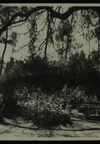 fotografia/IsIAO_ERITREA_1_A_II_III/IsIAO_ERITREA_1_A_II_III/1