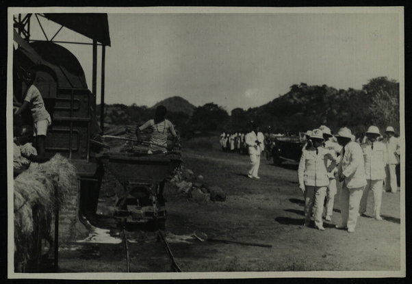 Elaberet. Azienda agricola Casciani. Coltivazione e lavorazione agave sisalane; [ca. 1930]