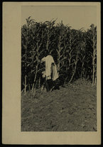 fotografia/IsIAO_ERITREA_1_A_I_III/IsIAO_ERITREA_1_A_I_III/1