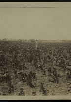 fotografia/IsIAO_ERITREA_1_A_I_XIII/IsIAO_ERITREA_1_A_I_XIII/1