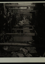 fotografia/IsIAO_ERITREA_1_B_I/IsIAO_ERITREA_1_B_I/1