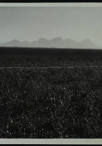 fotografia/IsIAO_ERITREA_1_C_III_IV/IsIAO_ERITREA_1_C_III_IV/1