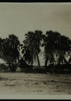 fotografia/IsIAO_ERITREA_1_C_III_VIII/IsIAO_ERITREA_1_C_III_VIII/1