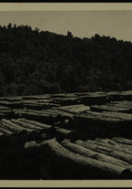 fotografia/IsIAO_SCIOA_2_C_VI/IsIAO_SCIOA_2_C_VI/7