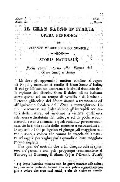 Il Gran Sasso d'Italia opera periodica di scienze mediche ed economiche