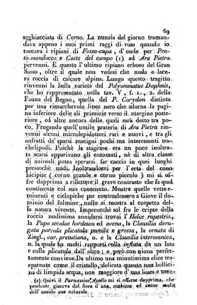 Il Gran Sasso d'Italia opera periodica di scienze mediche ed economiche