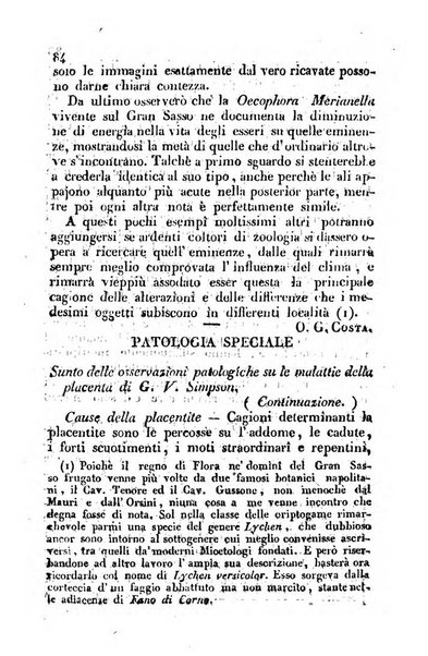 Il Gran Sasso d'Italia opera periodica di scienze mediche ed economiche